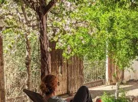 Molino Viejo de Salar