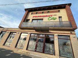 Pensiunea President City，位于Roşiori de Vede的酒店