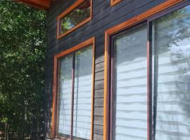 Cabaña Mandy en Lican Ray，位于里坎雷的酒店