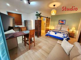 Studio bord de mer Fare Tahitea Pension，位于Taputapuapea的酒店