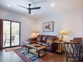 River West Buffalo Mountain Condo: On The Blue River，位于西尔弗索恩的酒店