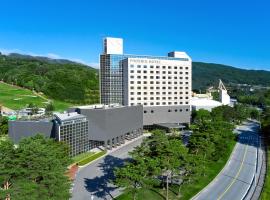 Phoenix Hotel Pyeongchang，位于平昌的酒店