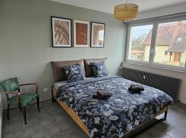 Appartement Cocooning，位于Roeschwoog的酒店