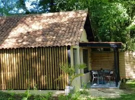 Gite L'Atelier studio pp en perigord noir piscine