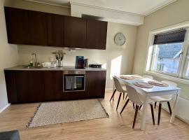 Modern Central Apartment Apt 204，位于斯塔万格的自助式住宿