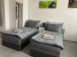 Tulip Apartment
