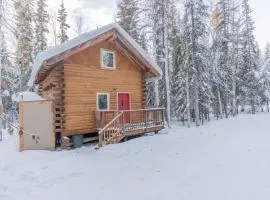 Iniakuk Forest Cabin