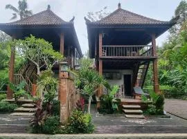 Pandawa Villas Ubud
