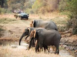 Karongwe River Lodge