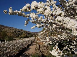 CASA RURAL ARBEQUINA, Primavera en el Valle del Ambroz，位于Casas del Monte的乡间豪华旅馆