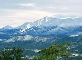 NewVida Preserve，位于威尔明顿的山林小屋