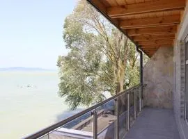 Parton Villa Apartments