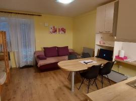 Apartma Rogla Gaber 110，位于兹雷切的酒店
