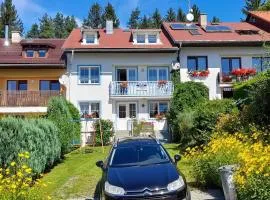 Holiday Home in Lipno nad Vltavou 1939