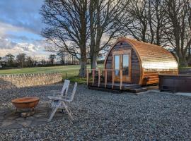 The Pod Fabulous glamping pod near Snowdonia.，位于卡纳芬的木屋