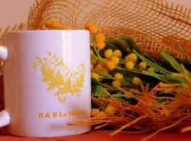 La Mimosa