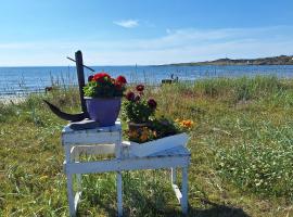 Feriehus ved Barentshavet - Holiday home by the Barents Sea，位于Ytre Kiberg的度假屋