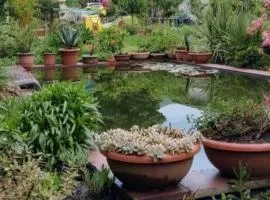 B&B Vegan La Mucca felice - Grazioso appartamento nel verde