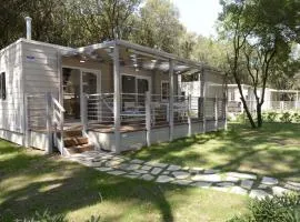 Modern Chalet in Pine Grove