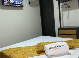 Hotel Olam Confort，位于比亚维森西奥的旅馆