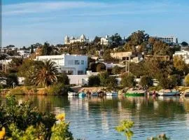 Appartement à Carthage byrsa