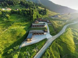 Panoramic Residence，位于博尔沙的山林小屋