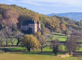 Manoir du Boscau, Louis IX，位于Prudhomat的酒店