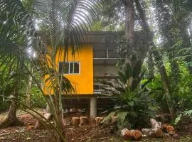 Tiny jungle house, few minutes from the beach
