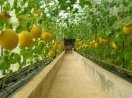 Melon Sky，位于Ban Kaeo的酒店