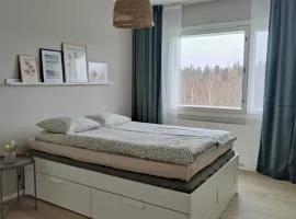 Green Getaway - near Helsinki Vantaa Airport, top-floor, free parking & wifi