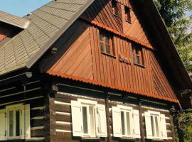 Dům U Dvou Líp / The Two Lime Trees，位于Javorník的酒店
