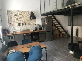 Appartement loft 60 m2 centre ville