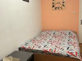 Podgorica Guesthouse(free transport to bus station)