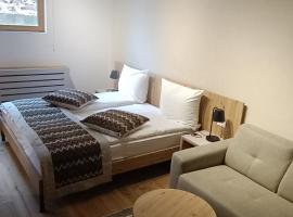 Private Apartment D036 NEW Aparthotel Vucko Jahorina，位于亚霍里纳的酒店