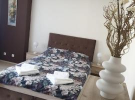 Apartman Ivan，位于弗尔沙茨的酒店