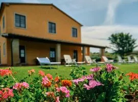 8380 Agriturismo il Saragiolo