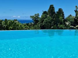 La Villa Ankarena Location de villa entière avec piscine privée à débordement sur parc aménagé Wifi TV Plage à 5 minutes à pied，位于圣玛丽的酒店