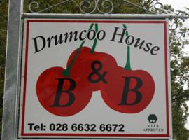 Drumcoo Guest House，位于恩尼斯基林的旅馆