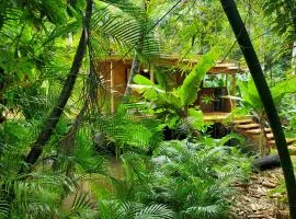 Jungle Lodge