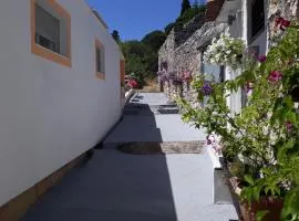 Apartments by the sea Tisno, Murter - 4298