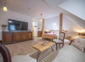 Konak Lecic，位于Tr&scaron;ić的公寓式酒店