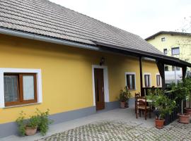 Kmečka hiša Rodica，位于多姆扎莱的旅馆