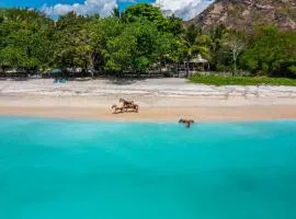 Scar Reef Resort - Beachfront Paradise HALF BOARD or NIGHT STAY