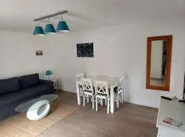 chalet Le Ticaco Soustons plage avec WiFi satellite