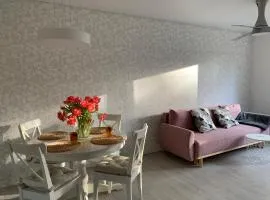 Palūšės Apartment