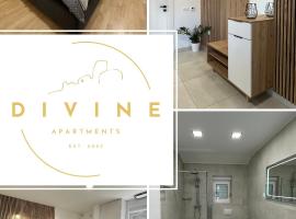 Divine Apartment Drnis，位于德尔尼什的酒店