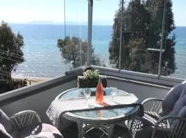 Kusadasi Beachfront Studio Flat for Family