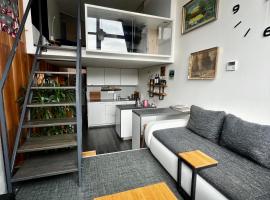 1 bedroom loft apartment，位于兹林的公寓