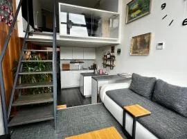 1 bedroom loft apartment