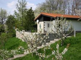 Hyggezeit-im-Bungalow-in-Wernigerode，位于韦尼格罗德的酒店